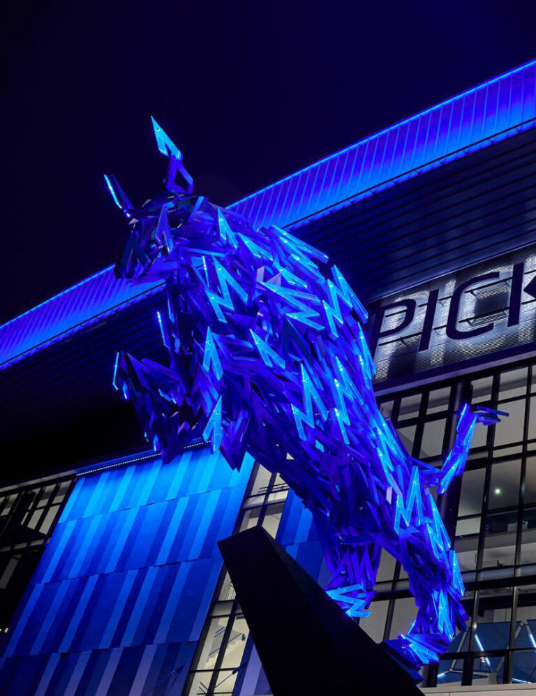 Szegedi Pick Arena Bika